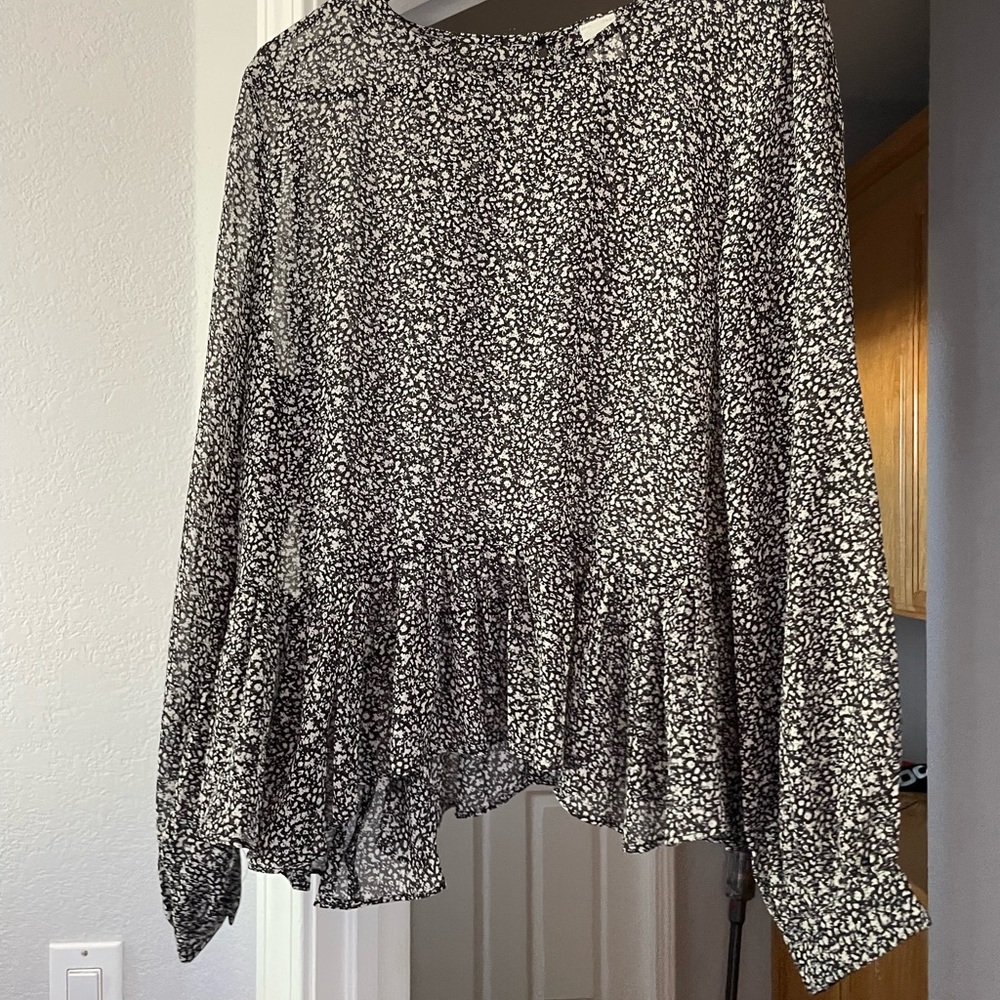 Vici Chiffon Peplum Blouse (Sheer)